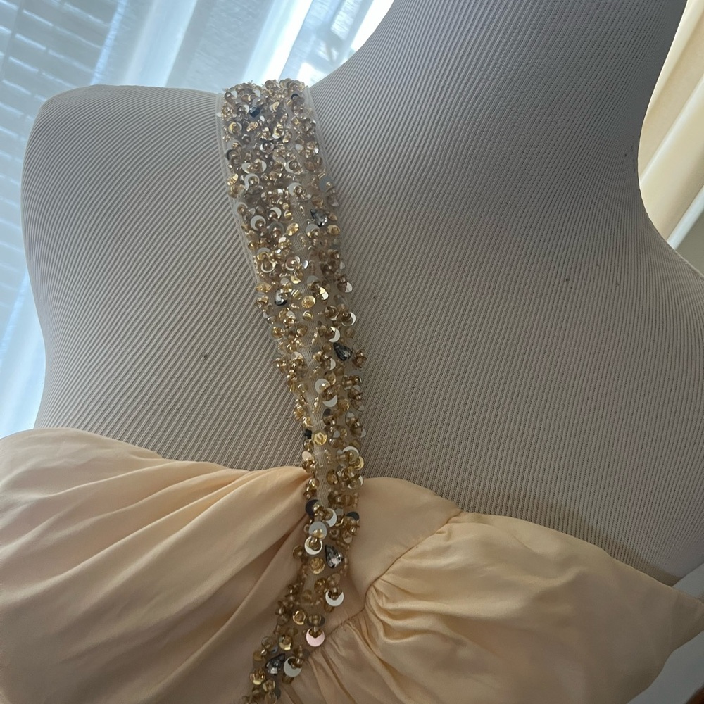 Elegant Cream Strapless David's bridal gown - Picture 7 of 8
